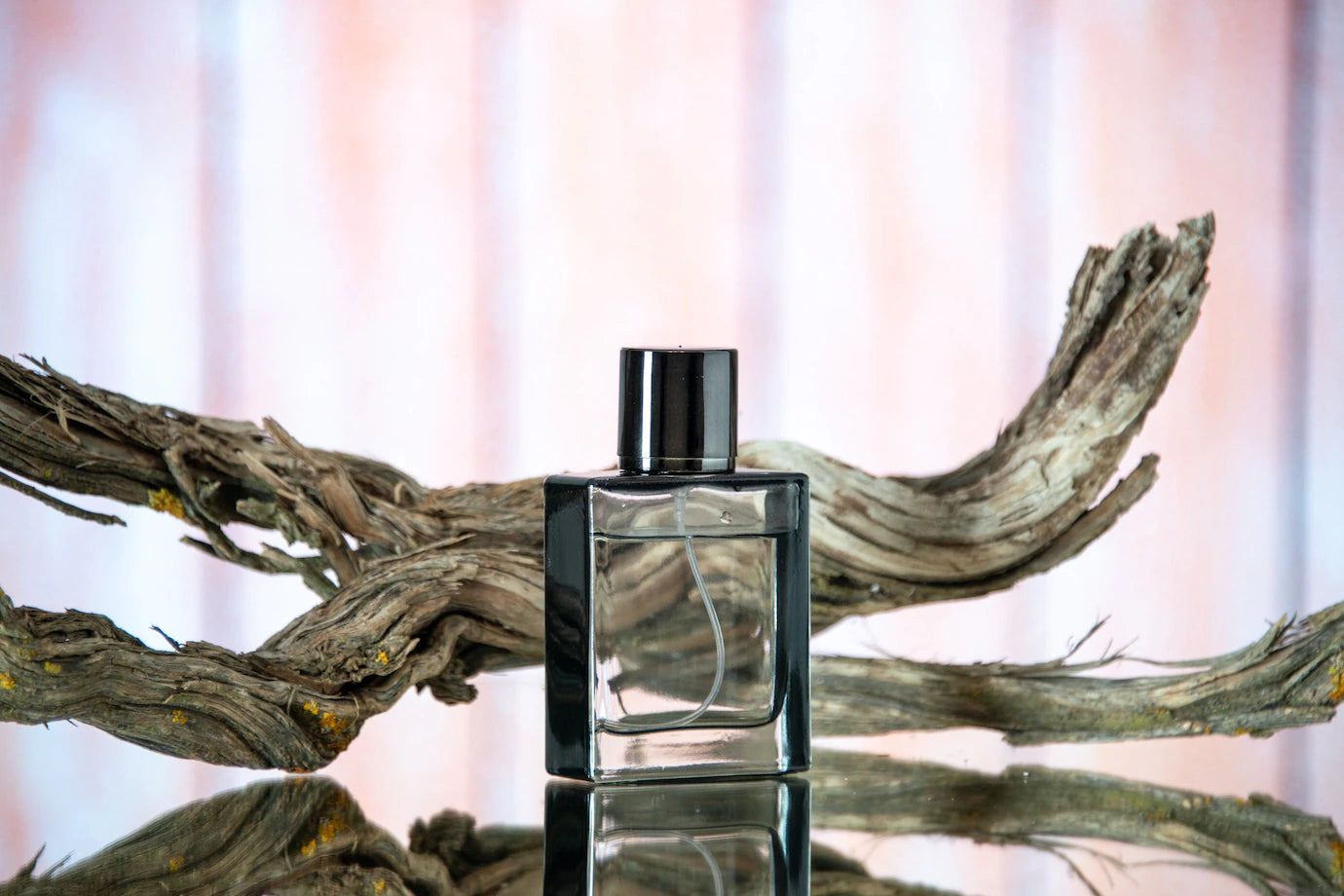 Comment créer un parfum de A à Z